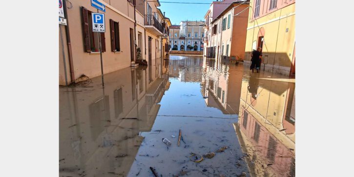 Senigallia_web intervista senigallia egidio grasso
