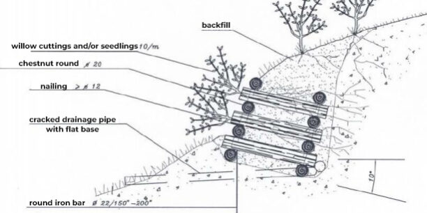 naturalistic engineering