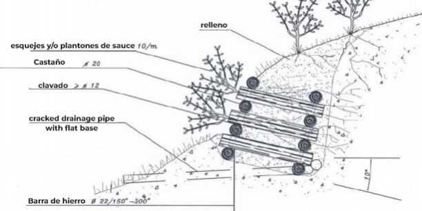 schema-ingegneria-naturalistica-geostru-ES ingeniería naturalista